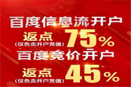 SEO与SEM融合策略：成功案例解析